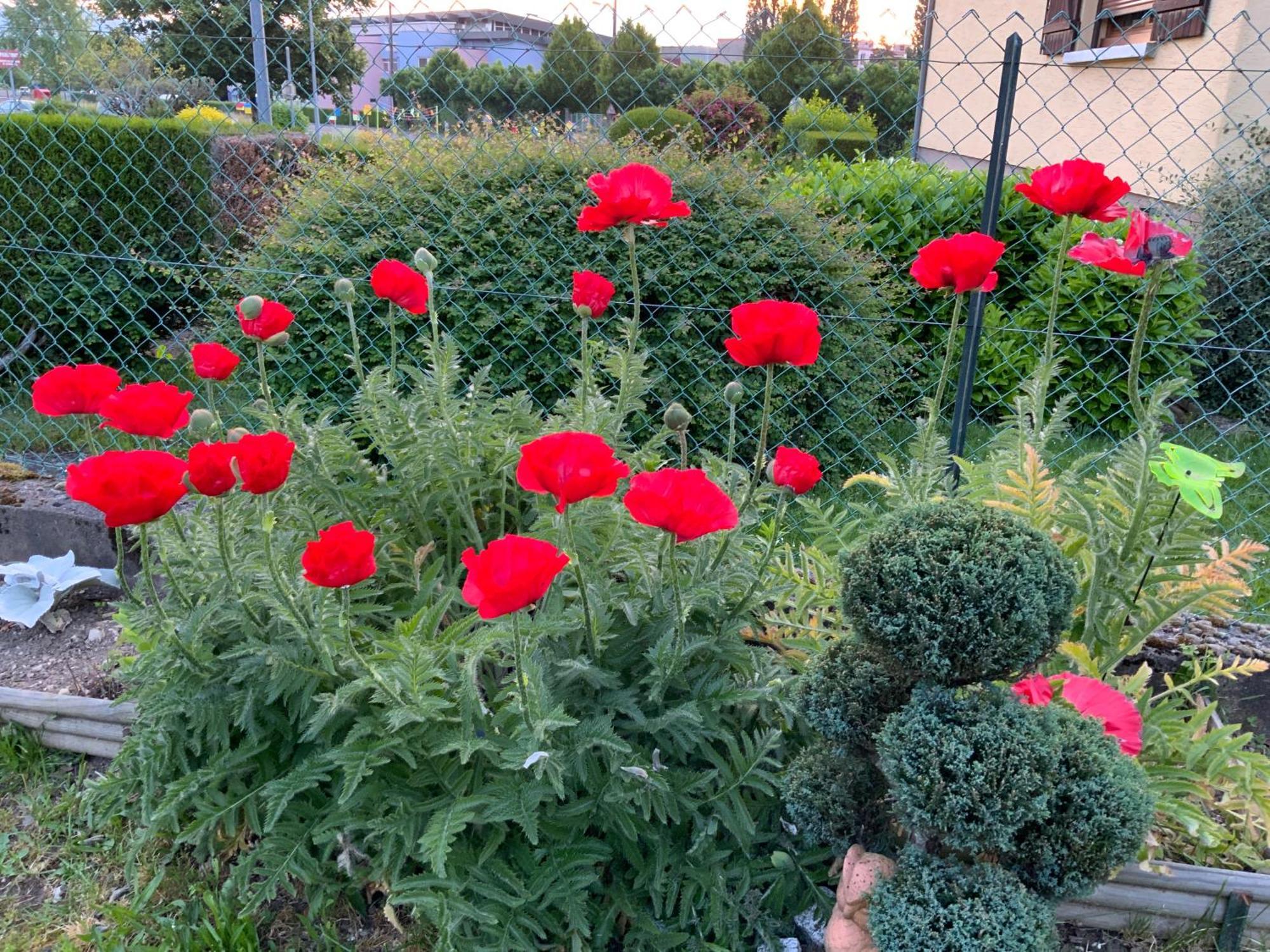 Le Nid Fleuri De Cravanche Экстерьер фото