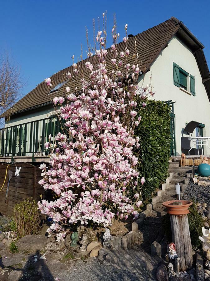 Le Nid Fleuri De Cravanche Экстерьер фото